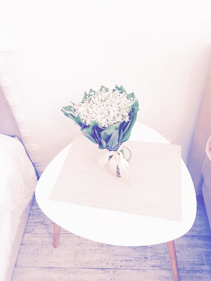 Апартаменты Studio Luxe on Victory Street in the city center Винница-5