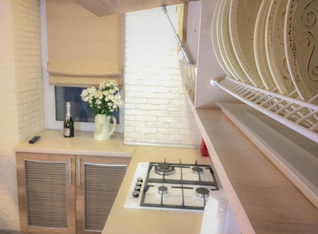 Апартаменты Studio Luxe on Victory Street in the city center Винница-49